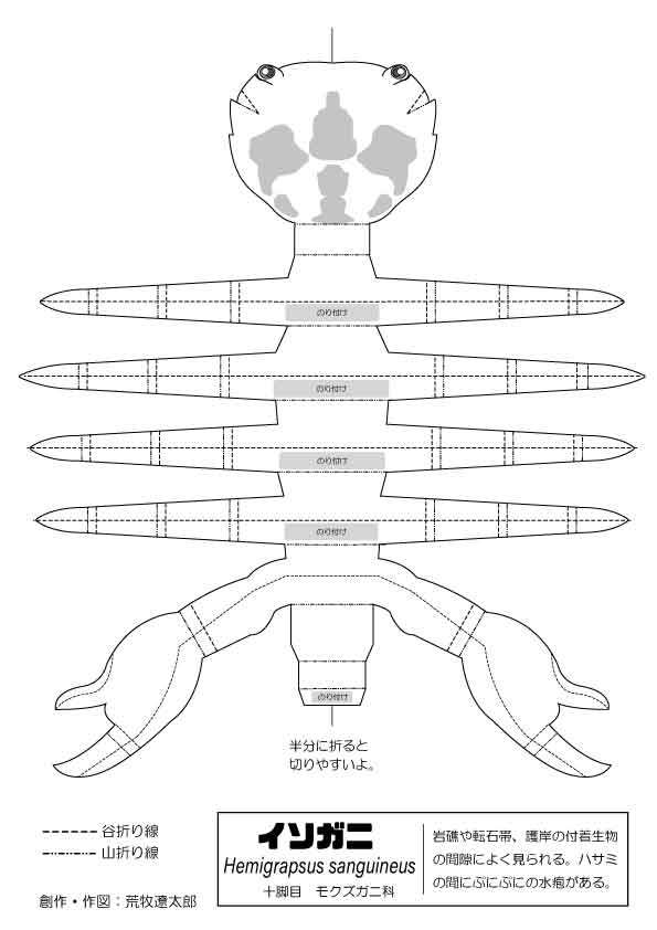 LinkIcon